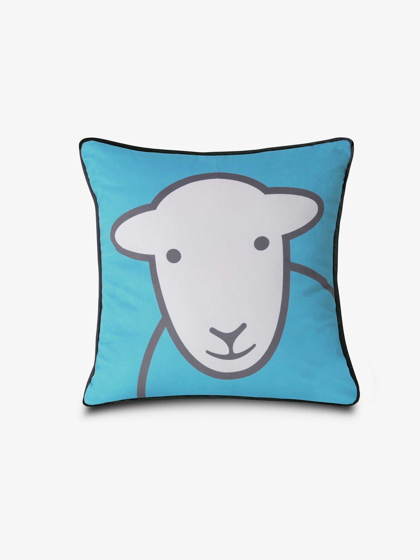 Hello Cushion Blue/Green