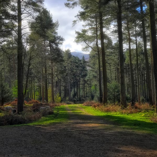 Quiet & Relaxing Places in the Lake District - Herdy Sleep